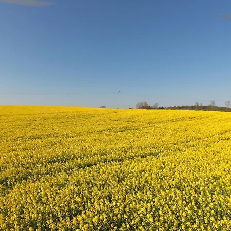 Апартаменты Bea 3 *